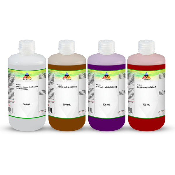 Gram Stain Kit