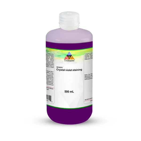 Crystal Violet Staining