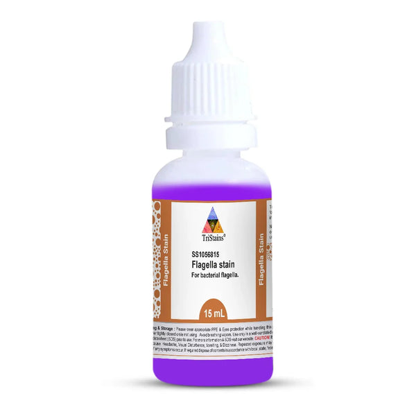 Flagella Stain-15ml